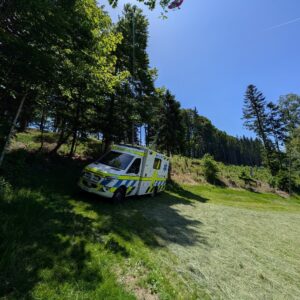 MEHR LESEN
