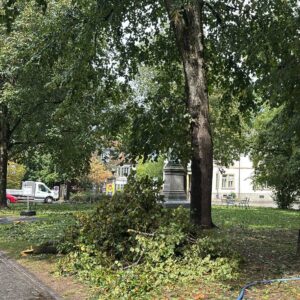 MEHR LESEN