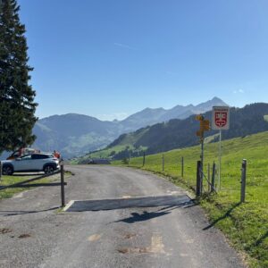 MEHR LESEN